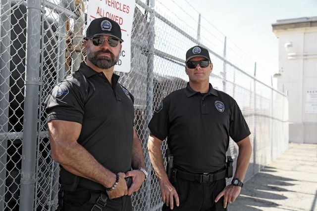 Armed Security, 2964